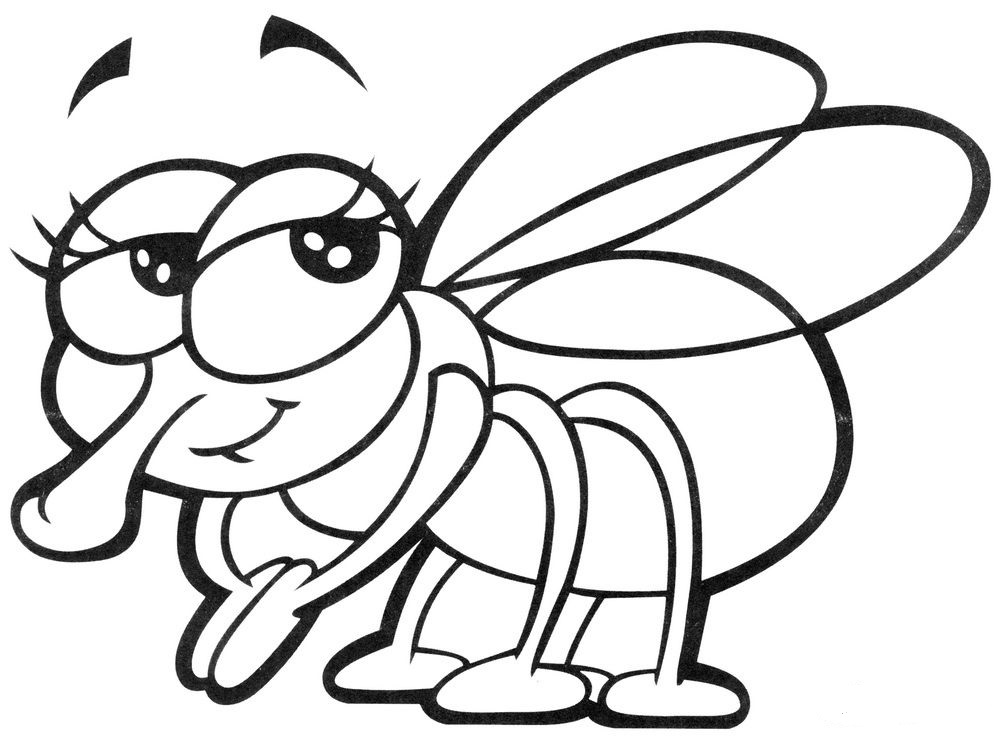 Fly Coloring Pages to download and print for free