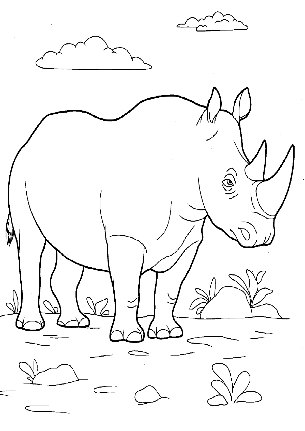 Rhinoceros Coloring Pages to download and print for free