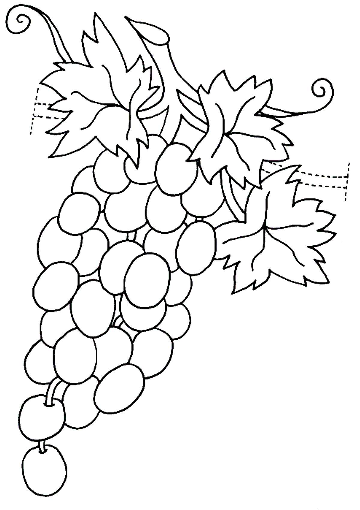 Download Grapes coloring pages to download and print for free