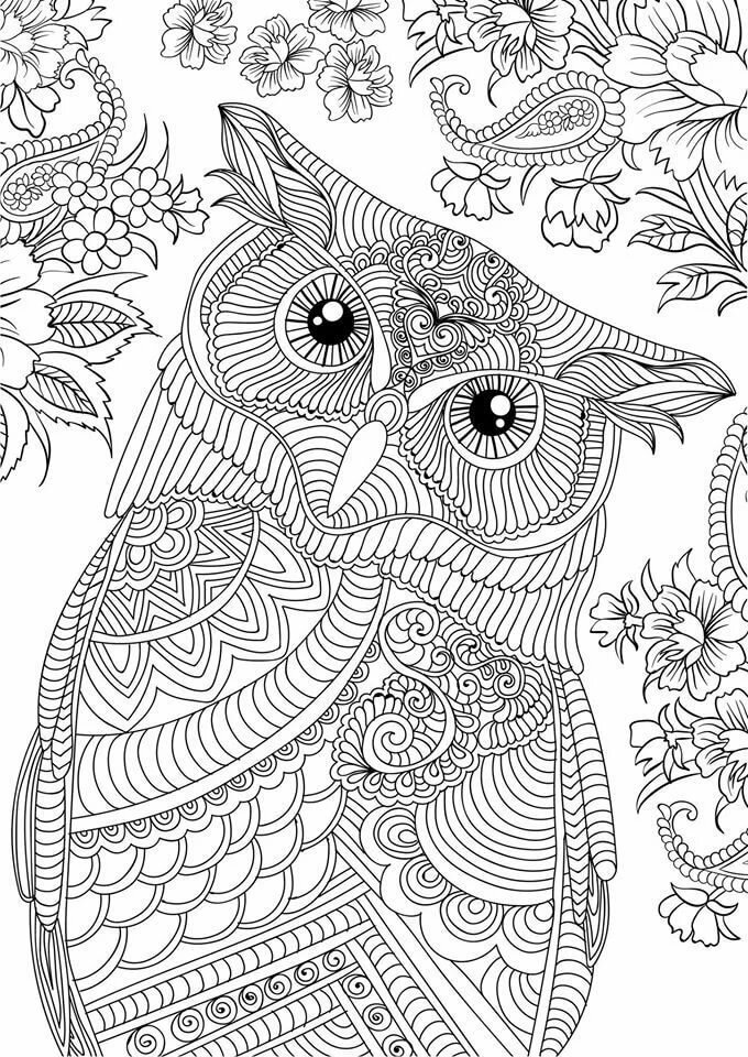 Antistress owl Coloring Pages to download and print for free