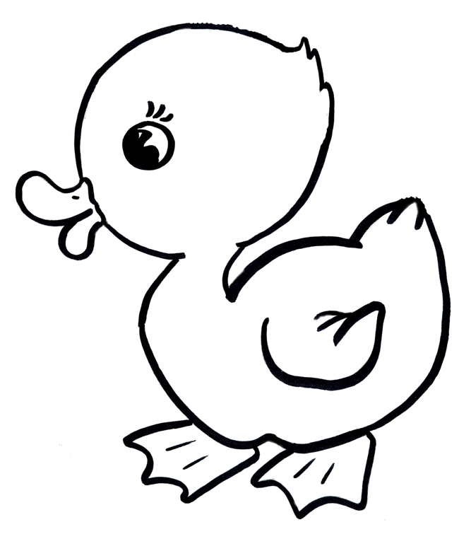 Duckling Drawing - Duckling Coloring Pages To Download And Print For ...