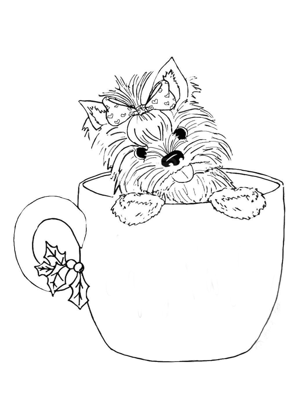 Yorkshire terrier Coloring Pages to download and print for free