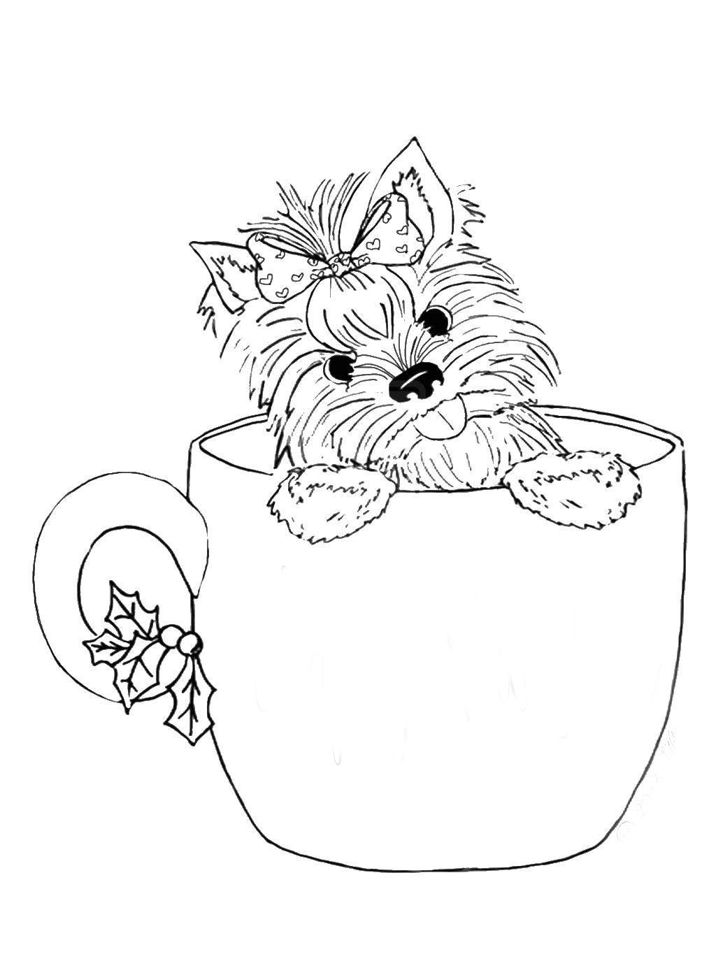 31+ realistic dragon coloring pages for adults Yorkshire terrier coloring pages to download and print for free