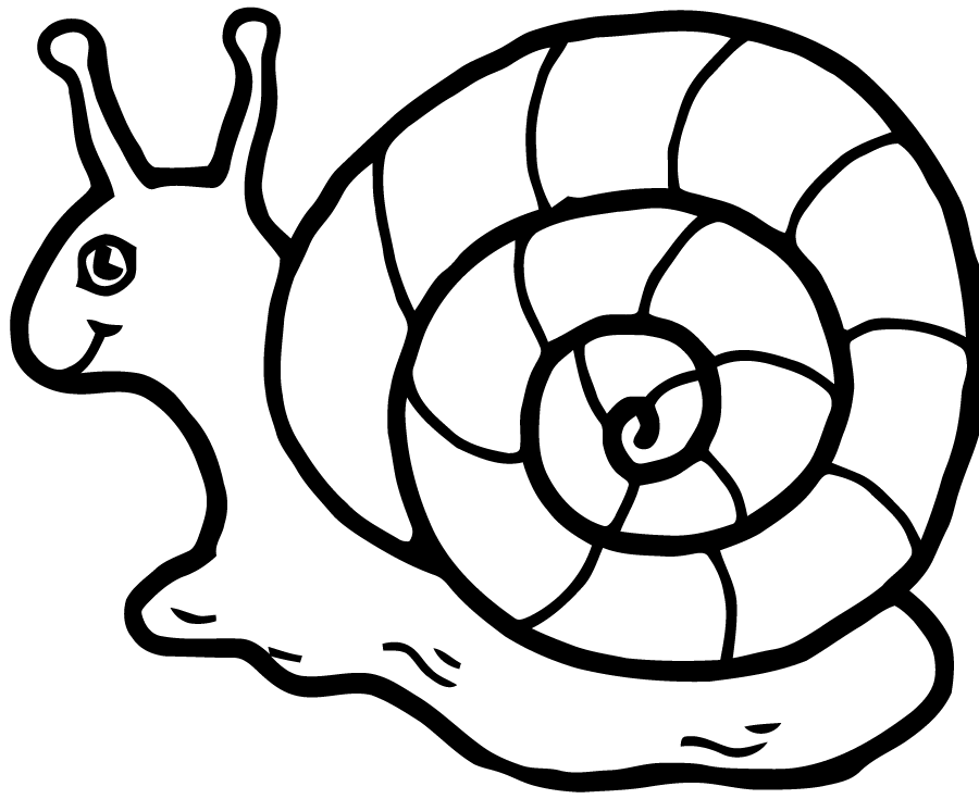 Snail coloring pages to download and print for free
