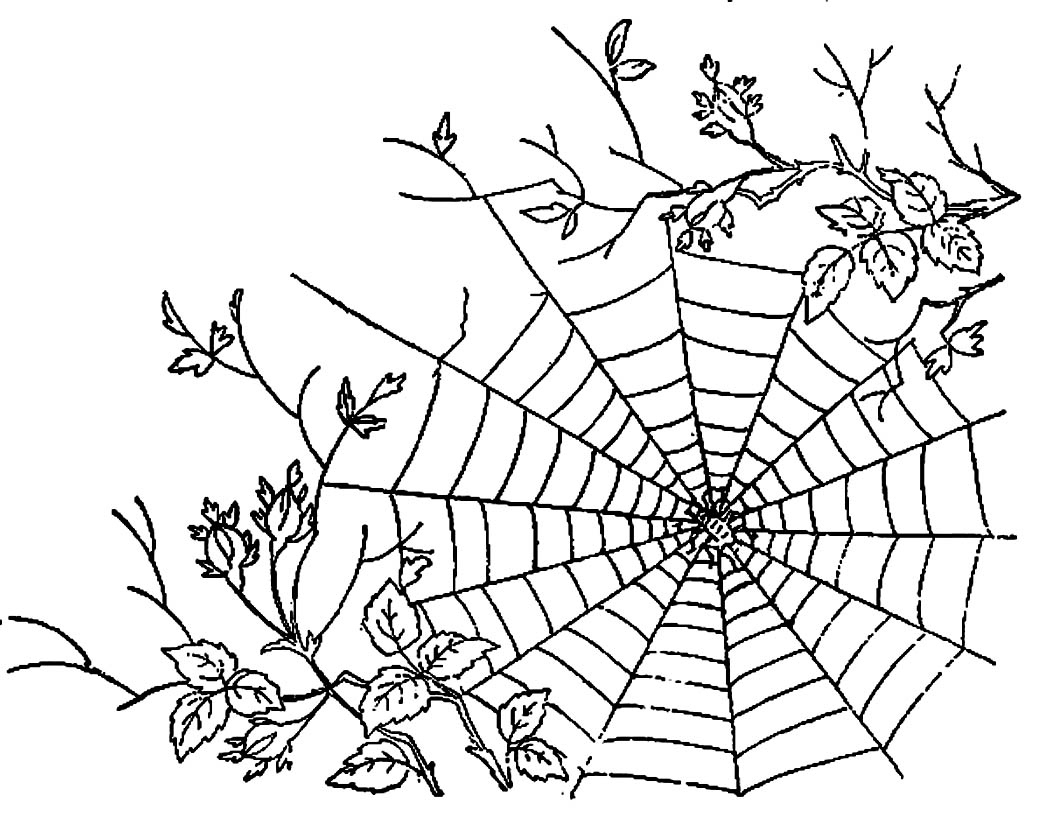 coloring spider web printable webs websites drawing getcolorings getdrawings