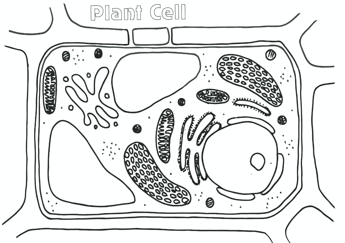 Printable Cell Coloring Page