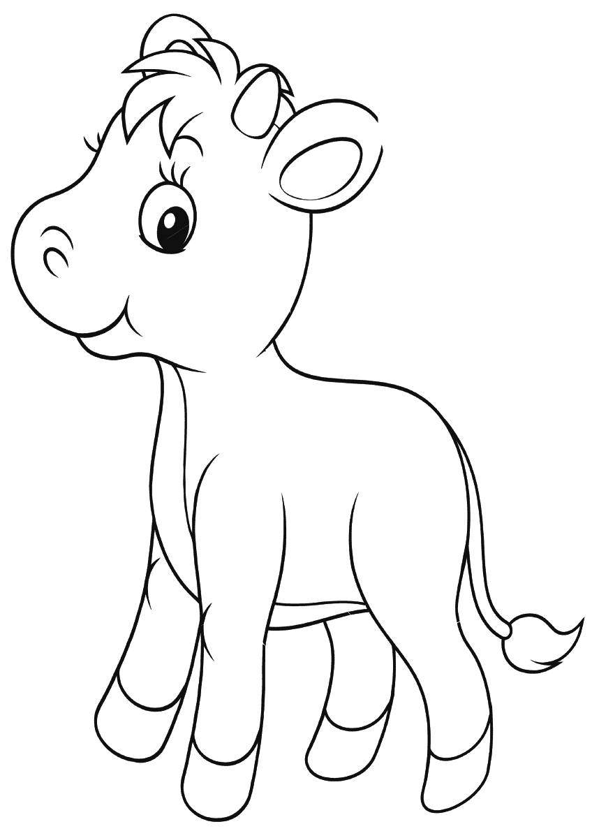 Calf Coloring Pages to download and print for free