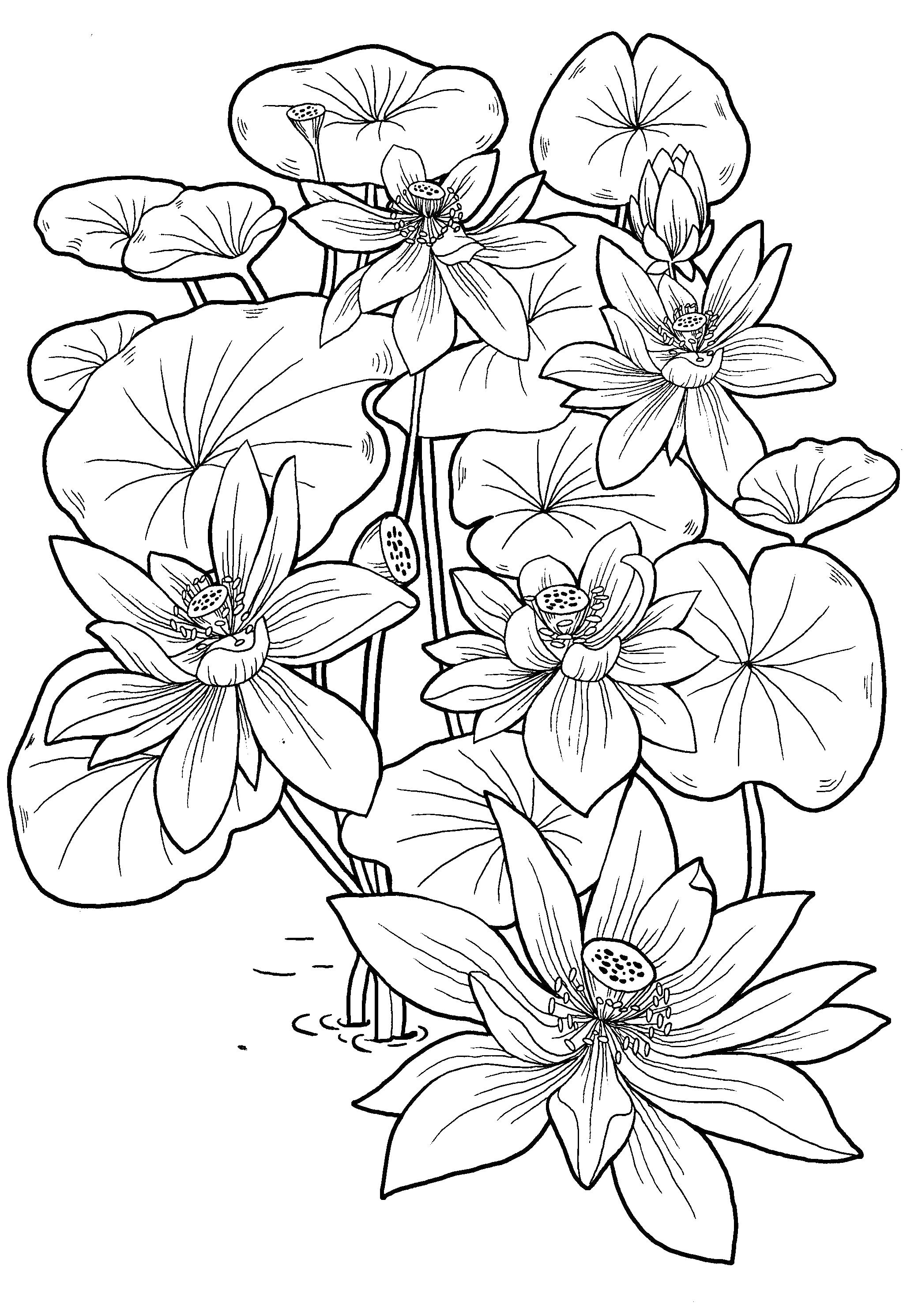 Download Coloring pages for 8,9,10-year old girls to download and print for free