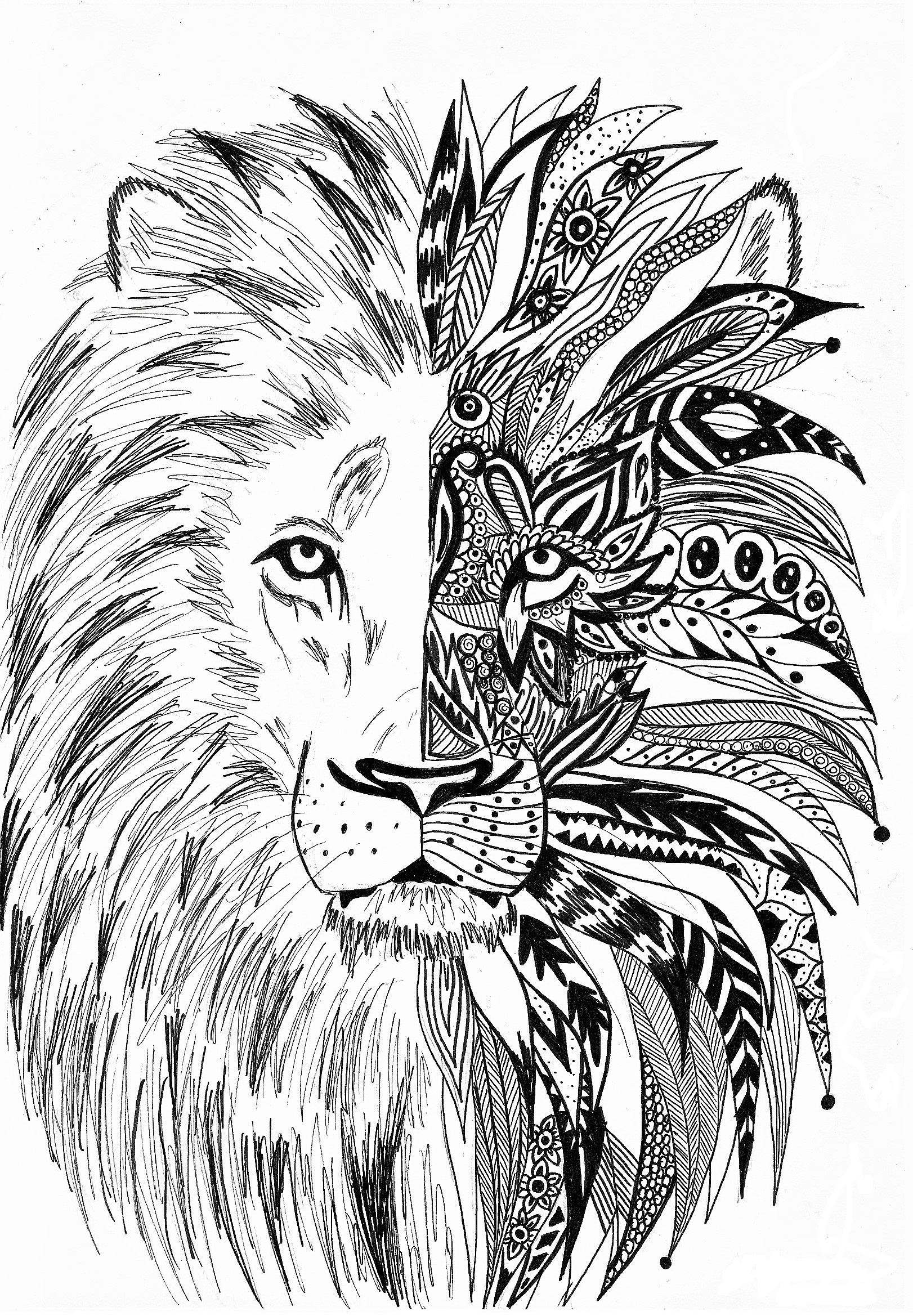 antistress lion coloring pages to download and print for free